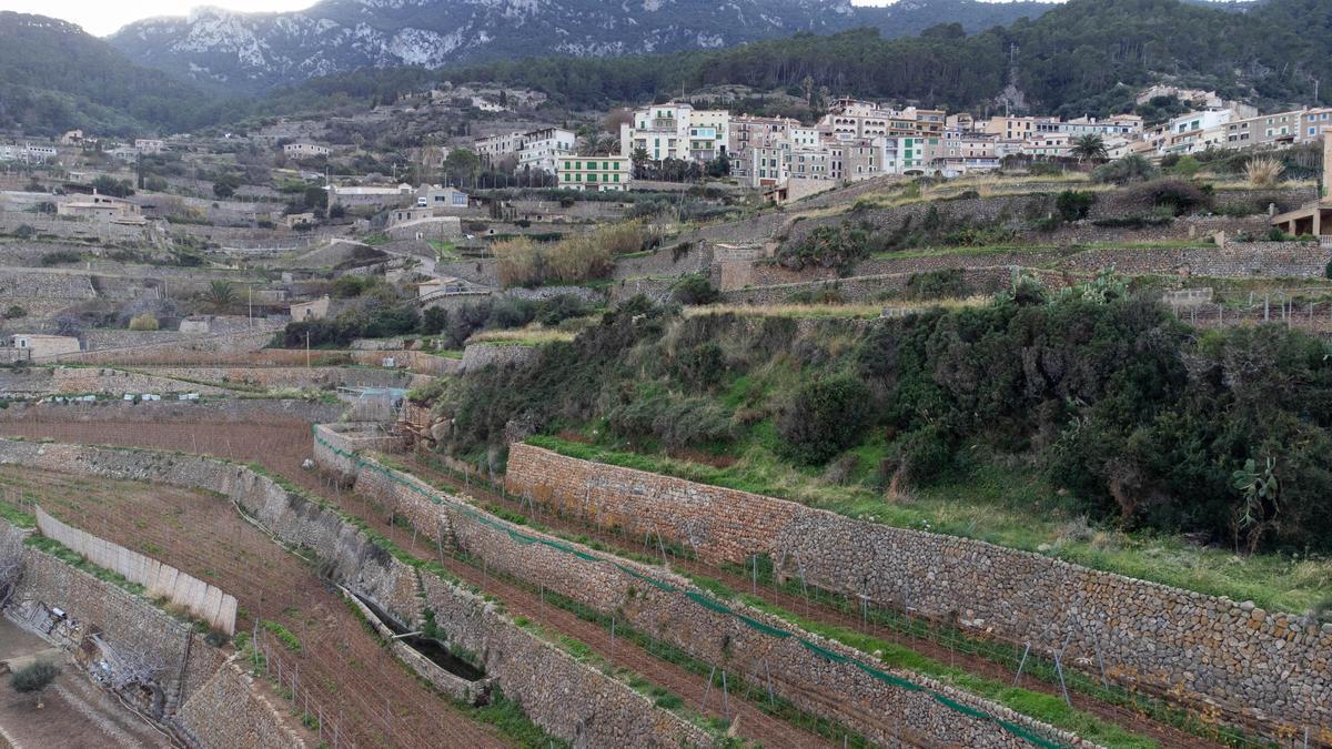 La Serra de Tramuntana