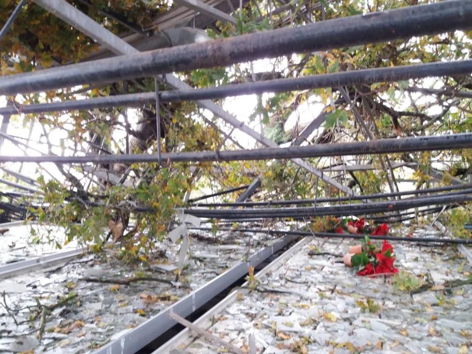 Los fuertes vientos arrancaron parte de las cubiertas del pabellón de Sada y la escuela infantil de Oza-Cesuras. También se llevó por delante parte del tejado de Pescanova y provocó la caída de numerosos árboles.
