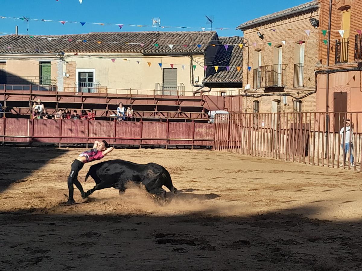 GALERÍA | Exhibición de cortes, quiebros y saltos en Morales de Toro