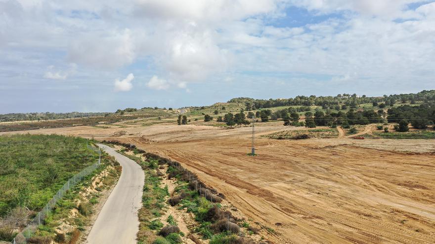 La Generalitat autoriza transformar 21 hectáreas forestales a cultivo intensivo de regadío en San Miguel