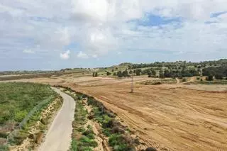 La Generalitat autoriza transformar 21 hectáreas forestales a cultivo intensivo de regadío en San Miguel