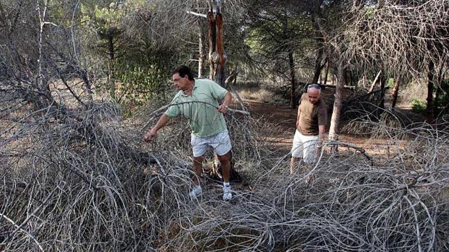 Vecinos de La Marina mostraban ayer la falta de mantenimiento de la pinada