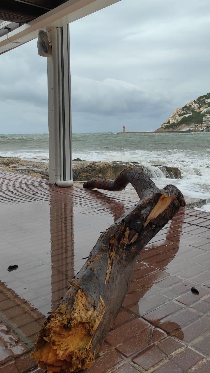 Bella provoca grandes destrozos en el Port d'Andratx