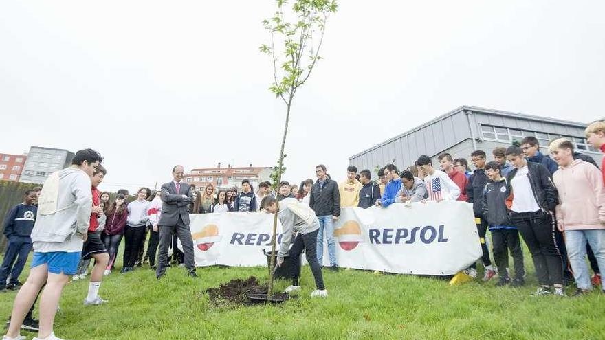 Los alumnos plantan, ayer, un castaño en el jardín del instituto.