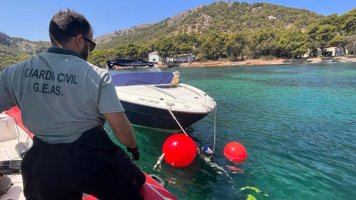 Agentes de la Guardia Civil, durante la intervención contra el pescador en Cala Rajada.