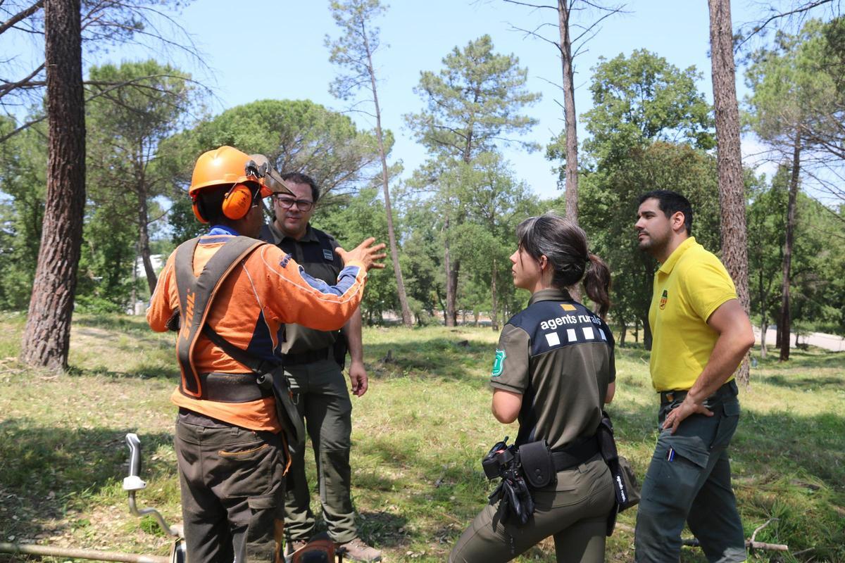 Agents Rurals i ADF amb un treballador que neteja una parcel·la a Santa Coloma de Farners.