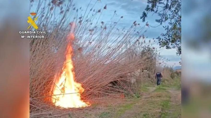 So schnappte sich die Guardia Civil den Brandstifter von s'Albufera