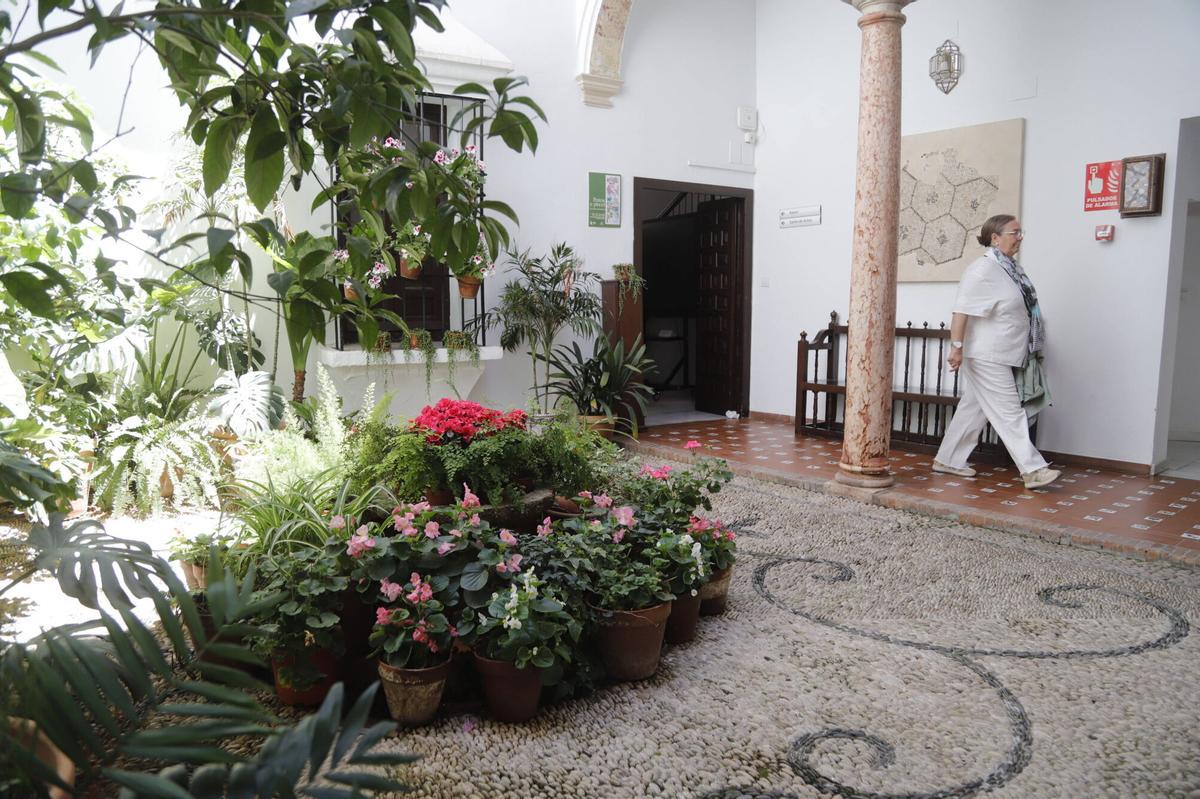 Once recintos institucionales abren sus puertas durante el concurso hasta el 17 de mayo Once recintos institucionales abren sus puertas durante el concurso hasta el 17 de mayo