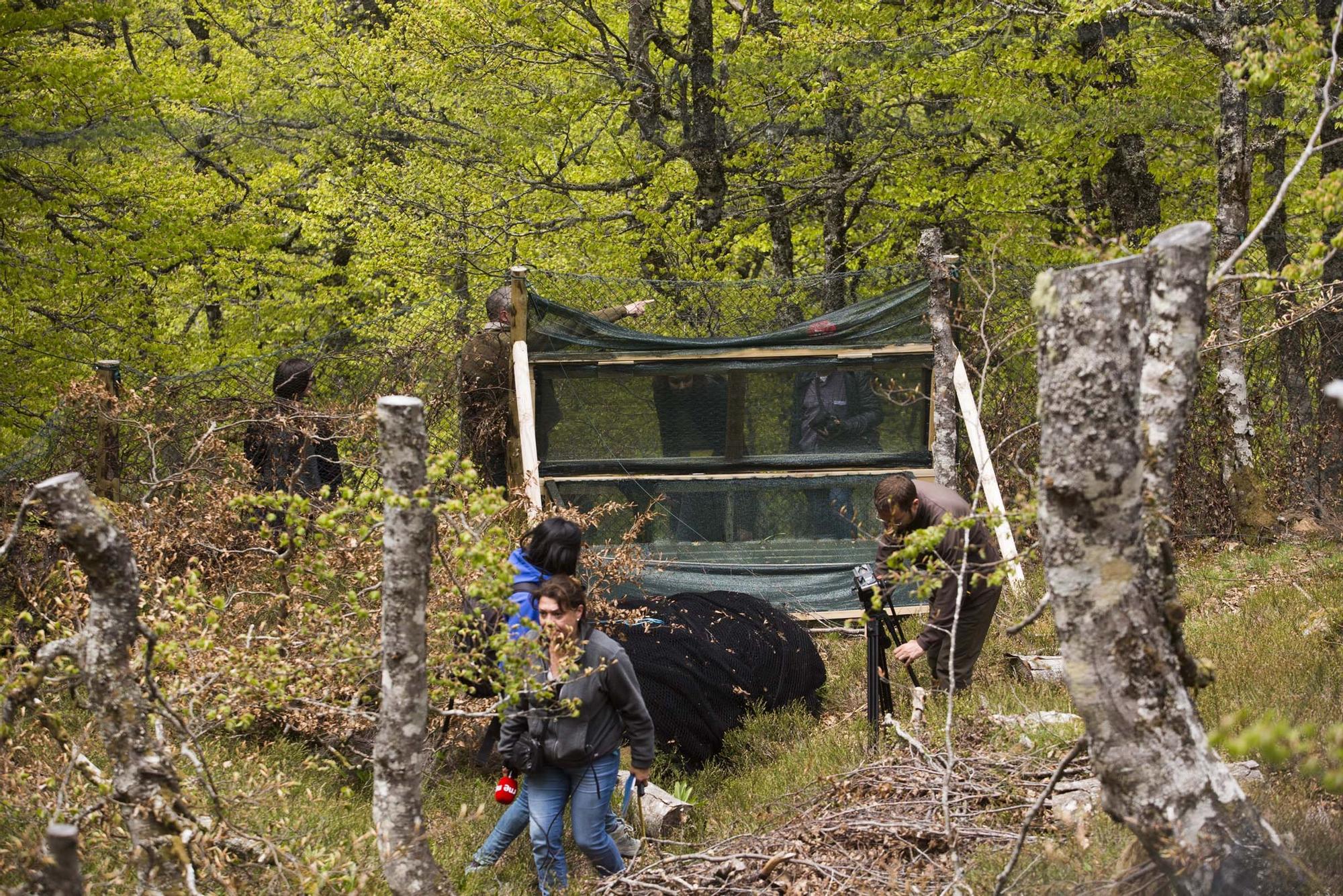 Las 100 fotos que demuestran que el otoño es la mejor época para conocer Asturias