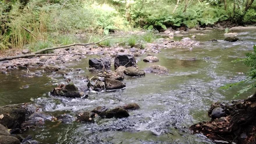 Ayuntamientos del área de A Coruña imponen restricciones de agua ante la bajada del caudal de los ríos