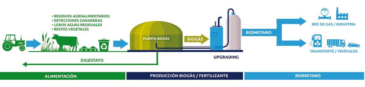 Proceso de transformación hasta obtener biometano.