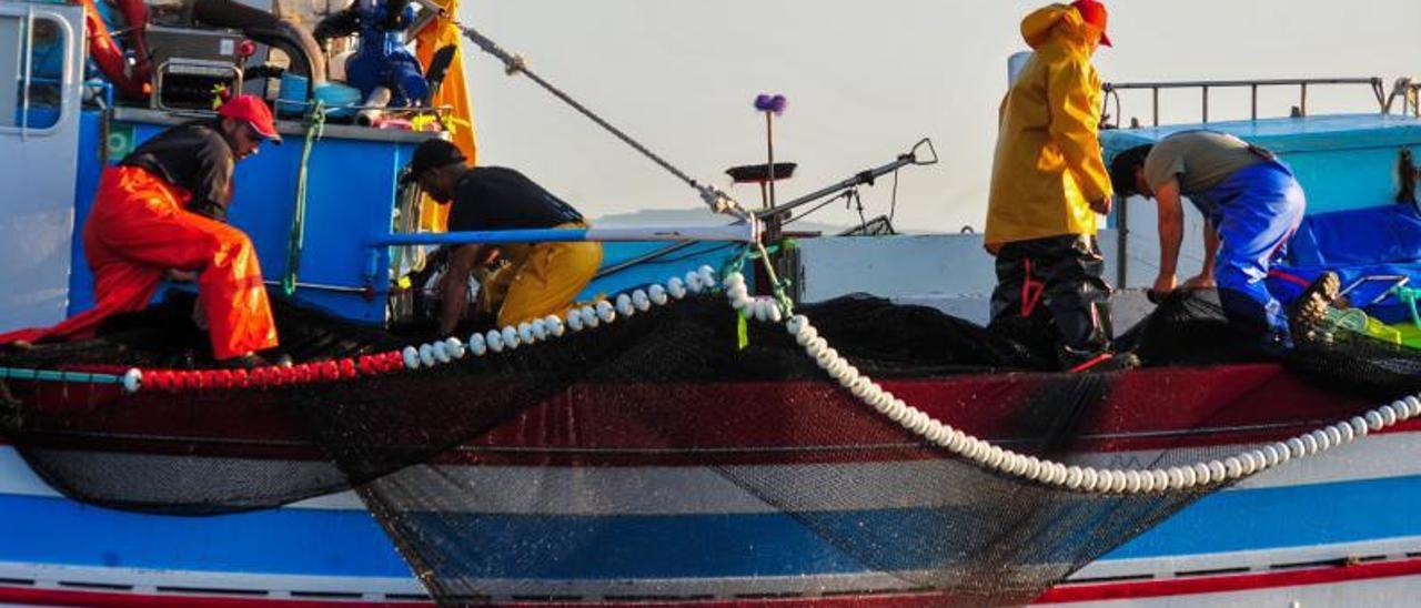 Marineros en un barco delitoral gallego.   | IÑAKI ABELLA