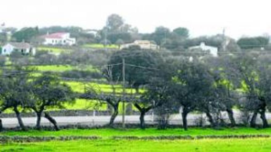 El ayuntamiento no acepta la red de agua de las Viñas de la Mata