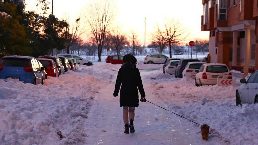 Una mujer pasea a su perro entre la nieve en Madrid