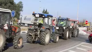 Abandono de tierras sin freno: La Ribera pierde en un año 250 hectáreas de cultivo