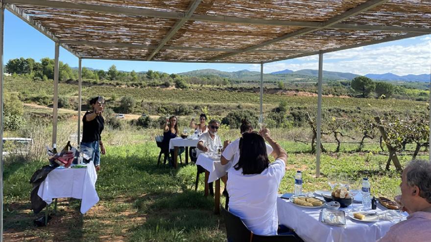 Cooperativa de Viver: ‘De la piel de la vid’ a un ‘Paseo con lágrima’… mucho más que enoturismo en Viver