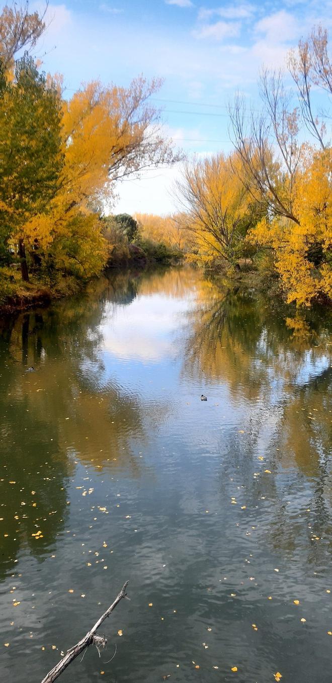 Río Carrión, Palencia
