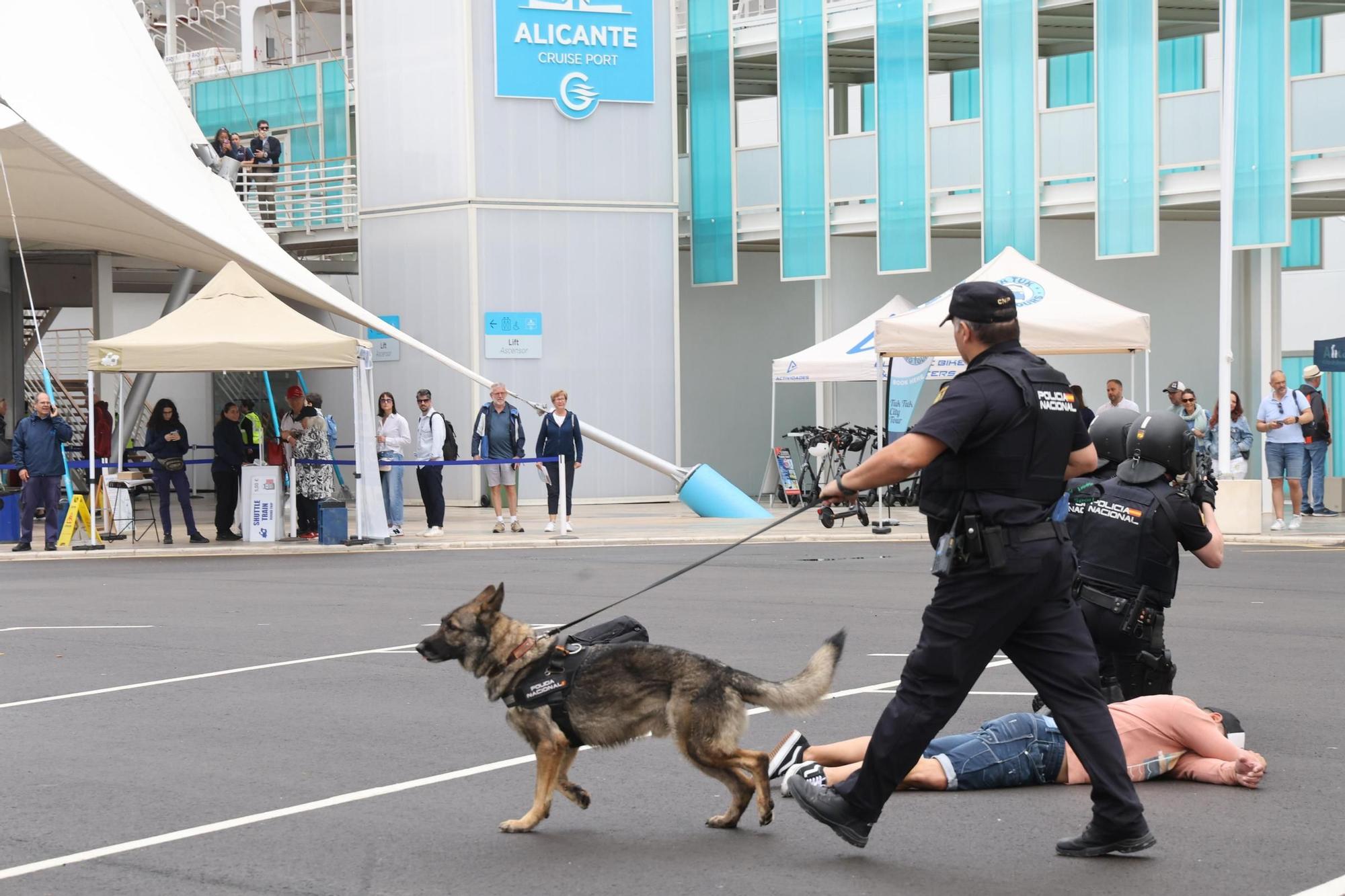 Simulacro de atentado terrorista realizado por la Policía armada en el puerto de Alicante