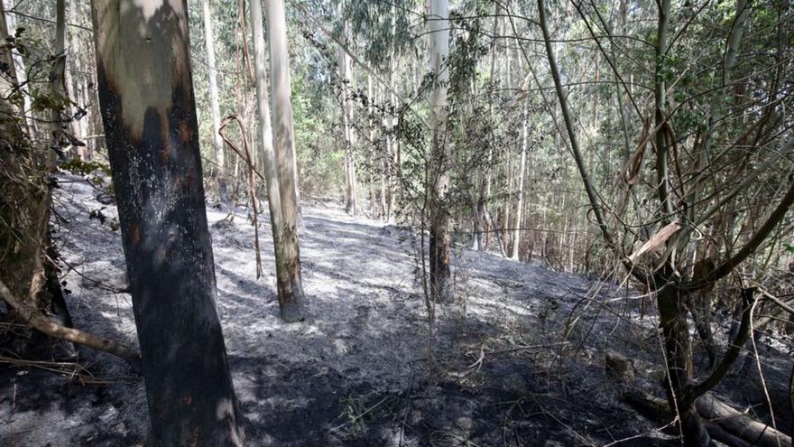 Un incendio forestal calcina 32 hectáreas en la parroquia de Parada, en A Cañiza