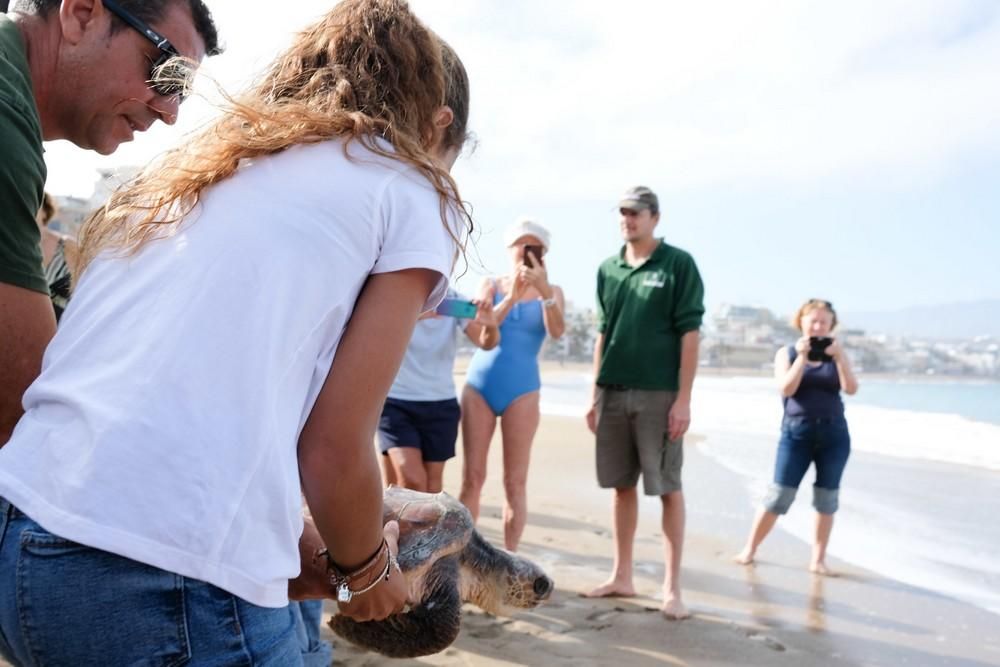 Suelta de una tortuga boba en Las Canteras