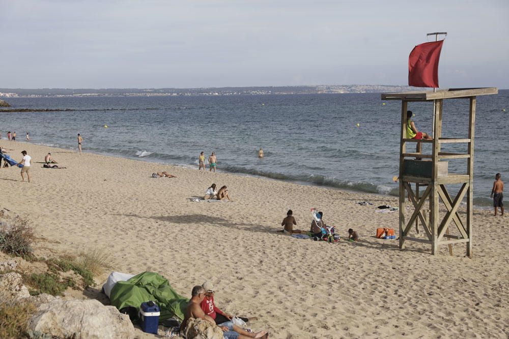 Bandera roja en Can Pere Antoni por vertidos de aguas fecales