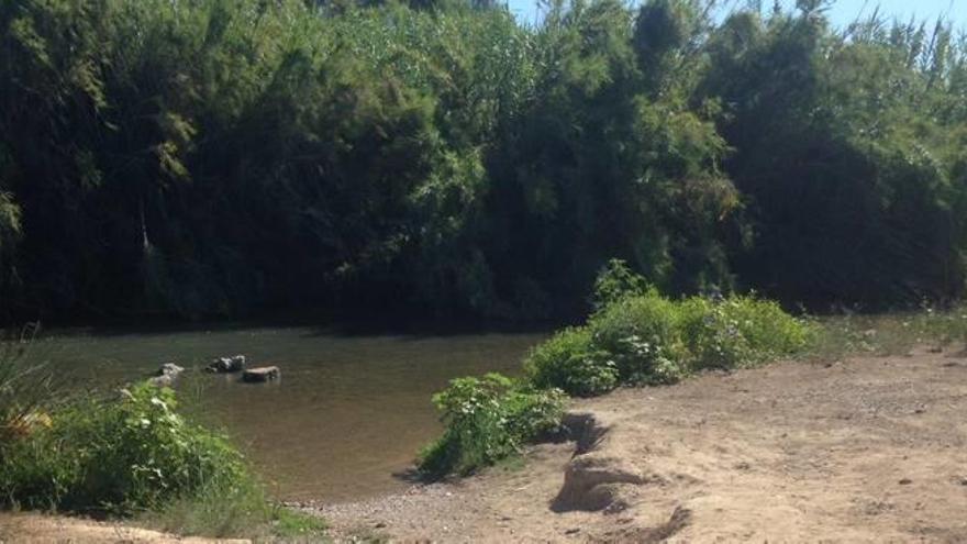 Manises: Limpieza de plásticos en el río