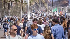 Com seria una Barcelona sense turistes, Tema del Diumenge