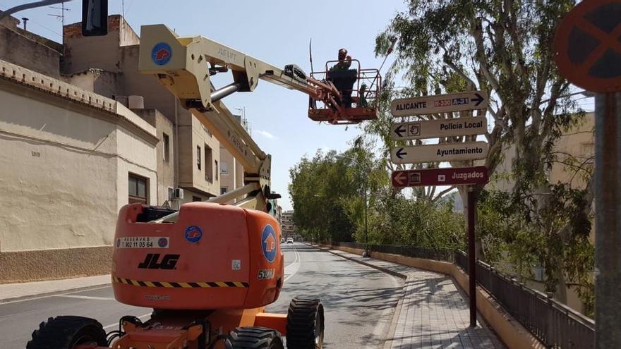 Los trabajos de poda están requiriendo el uso de equipos de elevación mecánica para alcanzar las ramas más altas