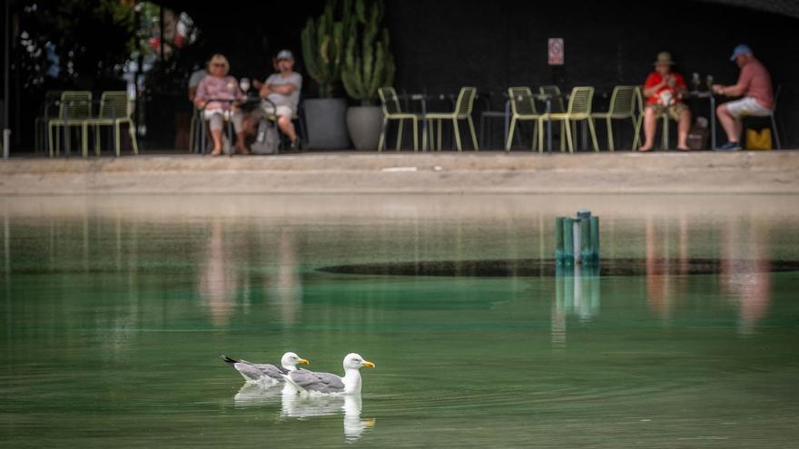 Un nuevo embate de calor se cierne sobre Canarias: los termómetros rozarán los 30 grados hasta el jueves