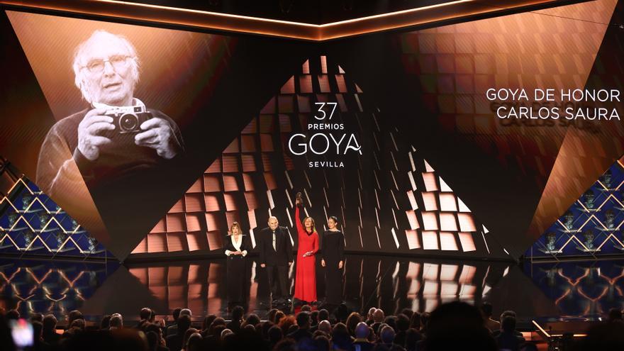 La Academia de Cine planta 809 árboles para compensar la huella de carbono de los Goya