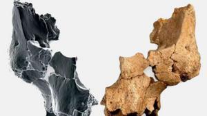 Els humans van arribar a Europa fa almenys 1,4 milions d’anys