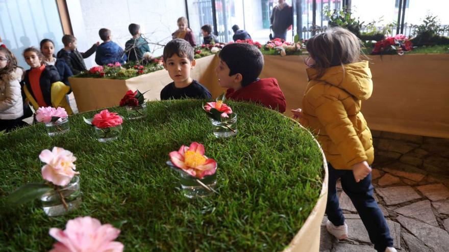 Escolares de A Escardia y A Lomba ponen el broche a la exposición de la camelia