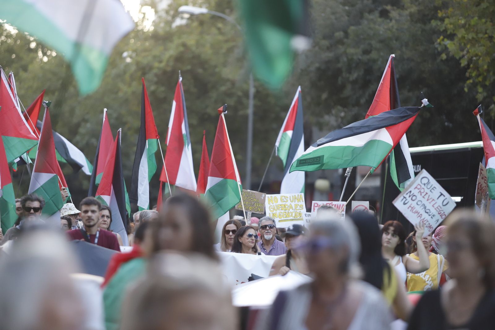 La manifestación por Palestina, en imágenes