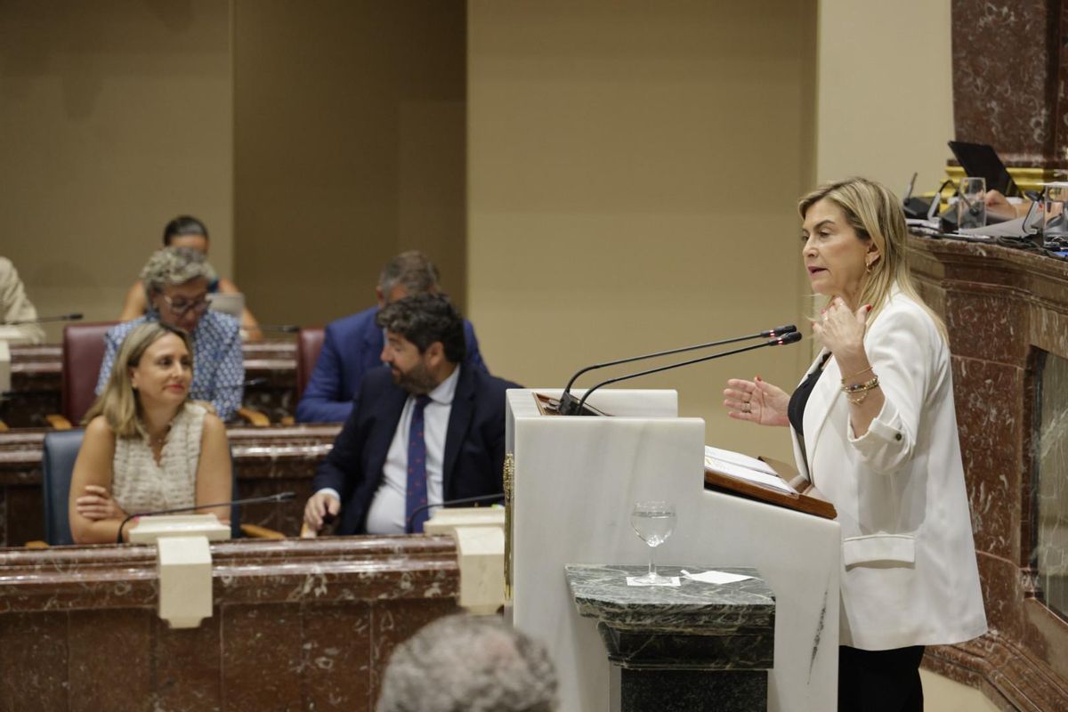 Momento de la intervención de Carmina Fernández, portavoz del Grupo Socialista.
