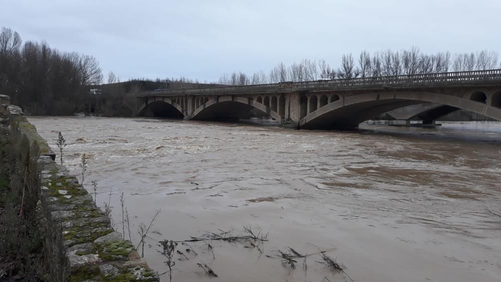 Los ríos se desbordan a su paso por Benavente