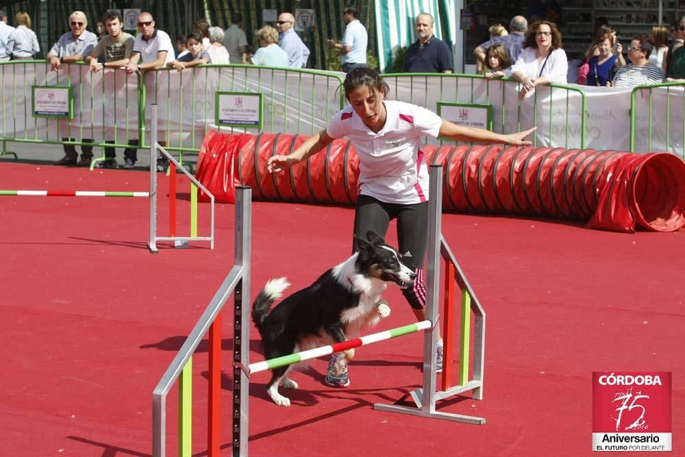 FOTOGALERÍA/ Imágenes de la sesión de Intercaza