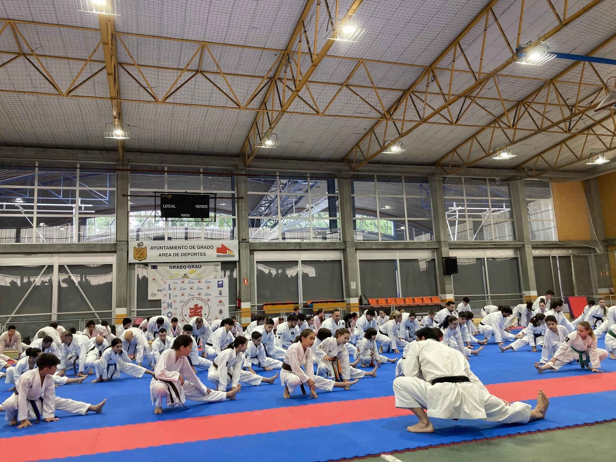 Lecciones sobre el tatami: así fue el segundo curso "Dale un golpe a la ELA" en el polideportivo de Grado