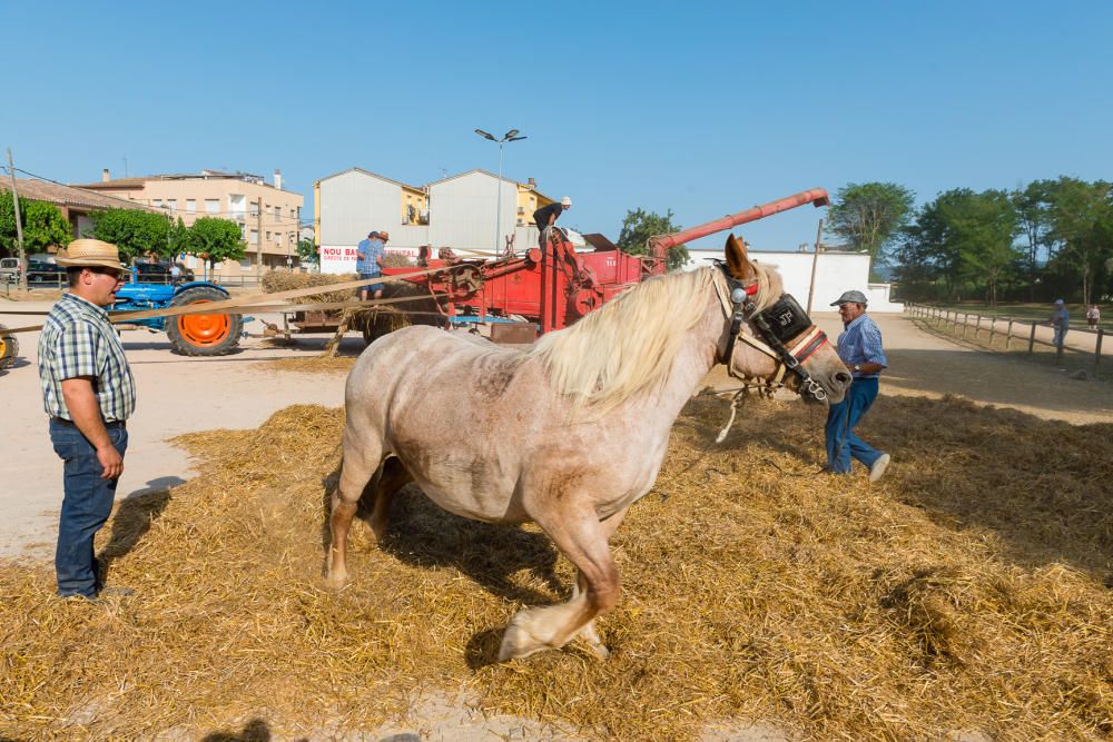 La Fira del Batre torna a Llagostera