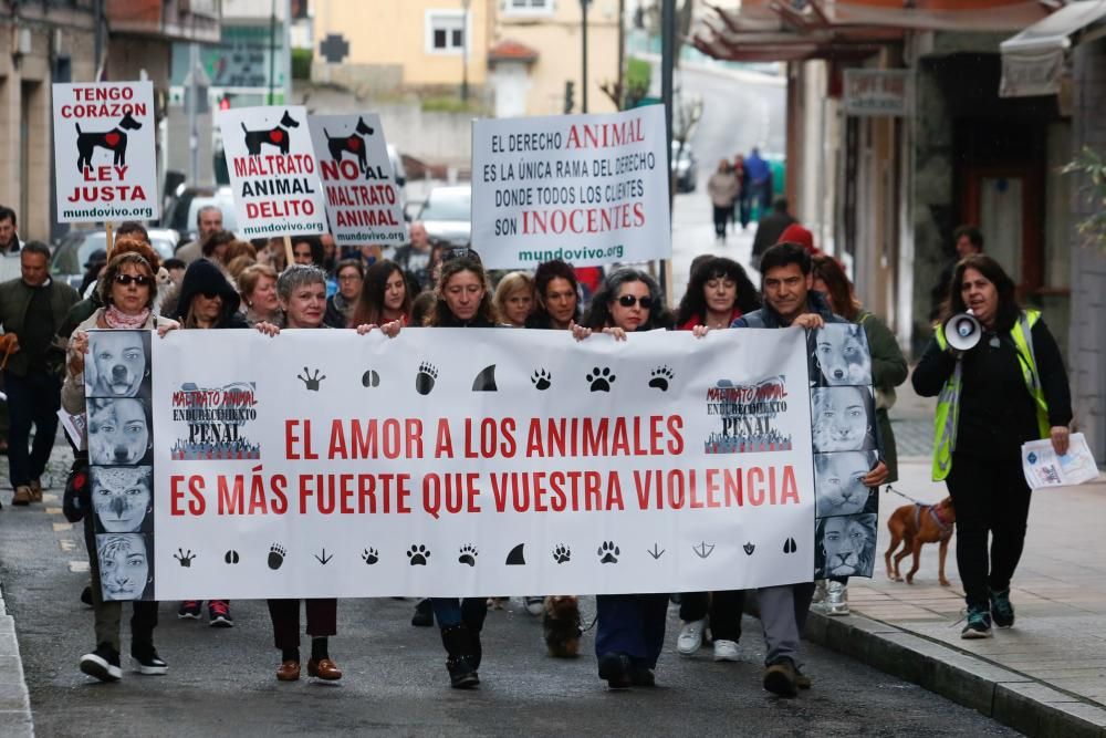 Manifestación contra el maltrato animal