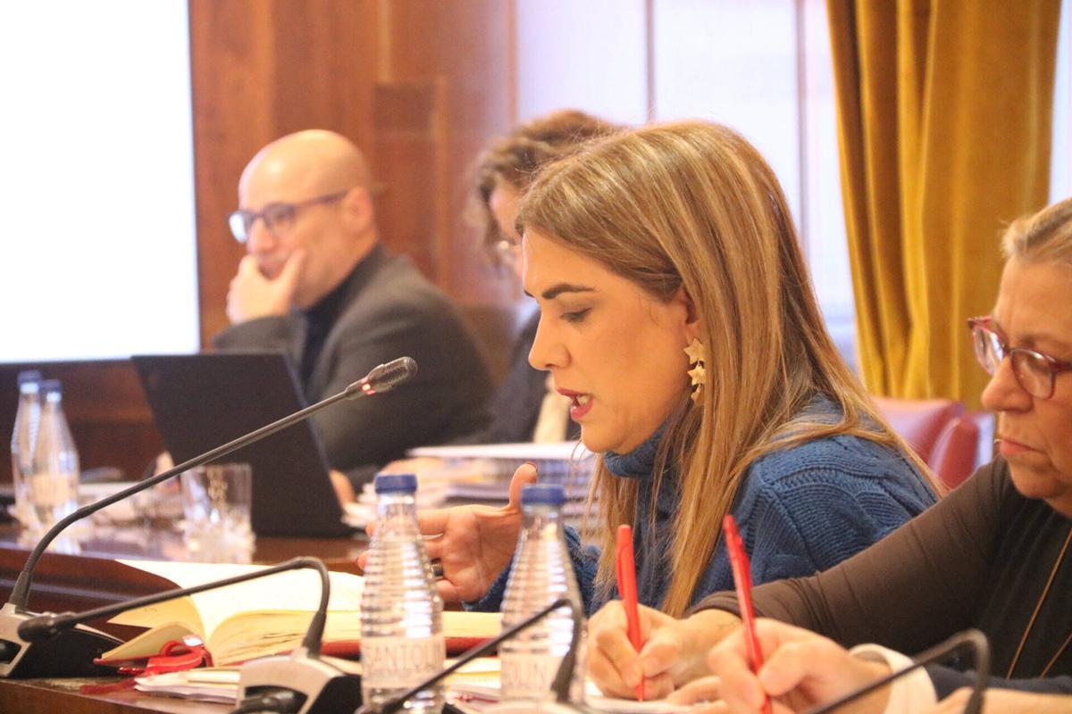 PLENO ORDINARIO DIPUTACIÓN DE ZAMORA