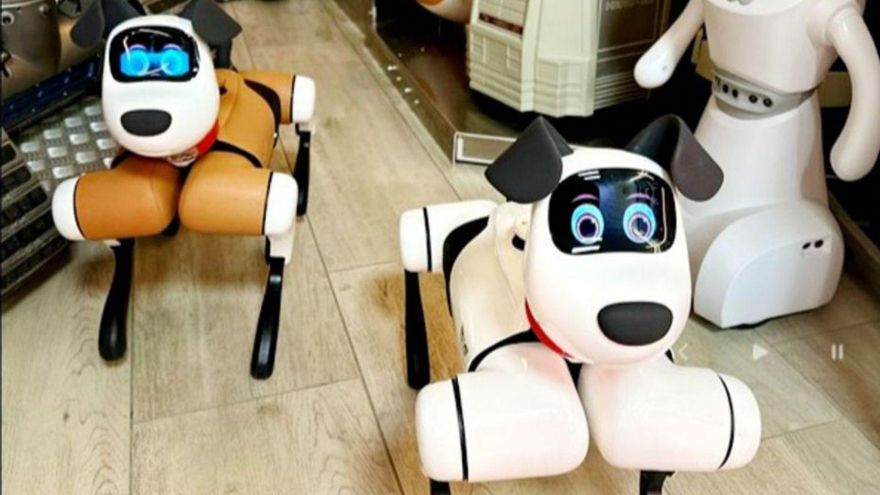 Mascotas robots sociales de la empresa adjudicataria.