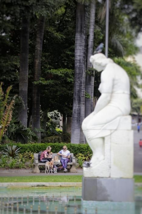 Paseos durante la celebración del Día de Canarias