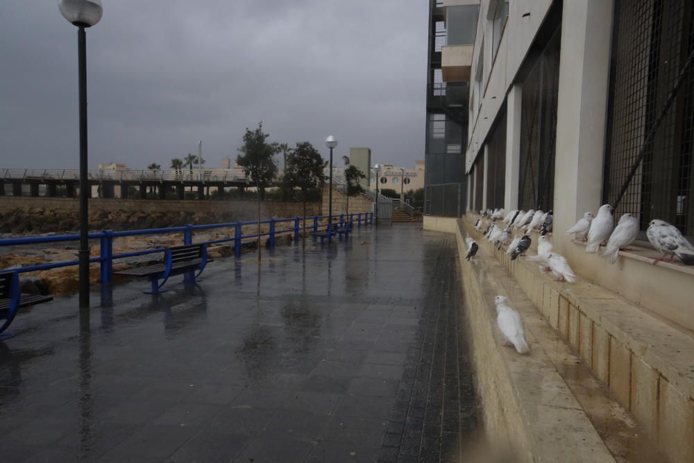 Fuertes lluvias en Alicante