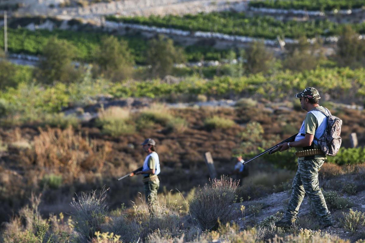 Batida de caza en el sur de la provincia de Alicante