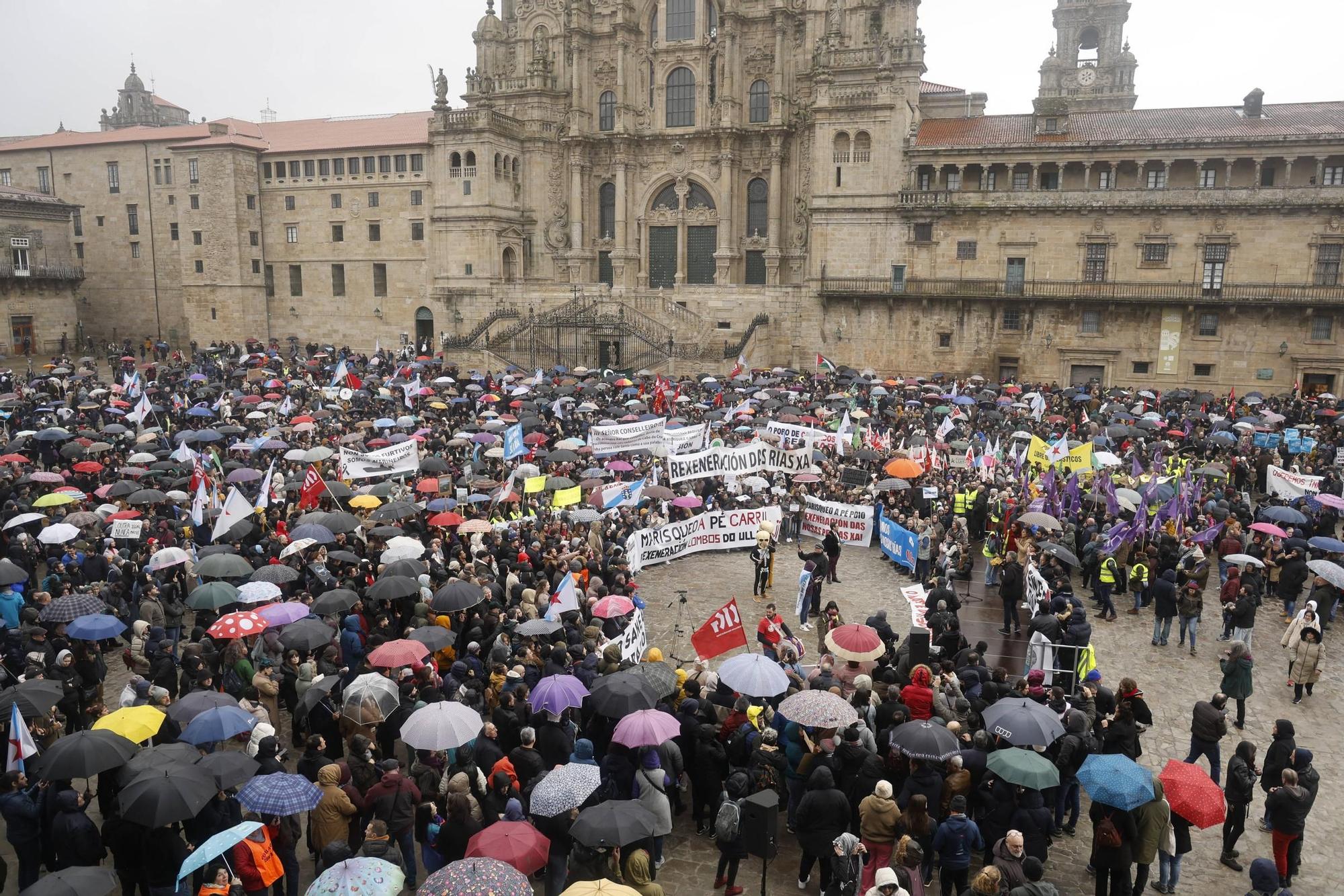 Multitudinaria manifestación en Santiago "en defensa do mar" y contra la gestión de la crisis de los pélets