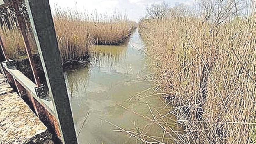 No vagi per dit | Se vende una porción de Albufera por 3.000 euros