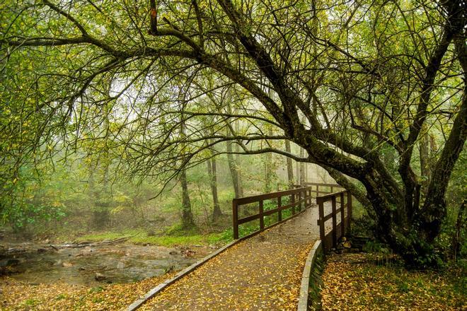 Montseny, Barcelona