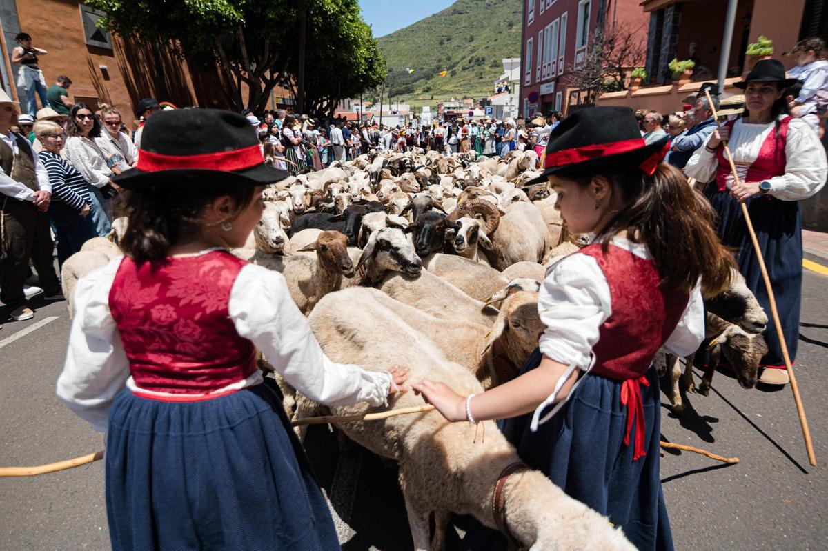Romería de San Marcos, en Tegueste