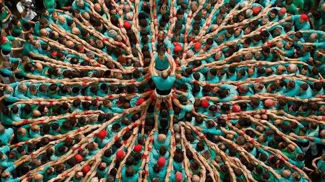 Los Castellers de Vilafranca retoman los ensayos con adultos