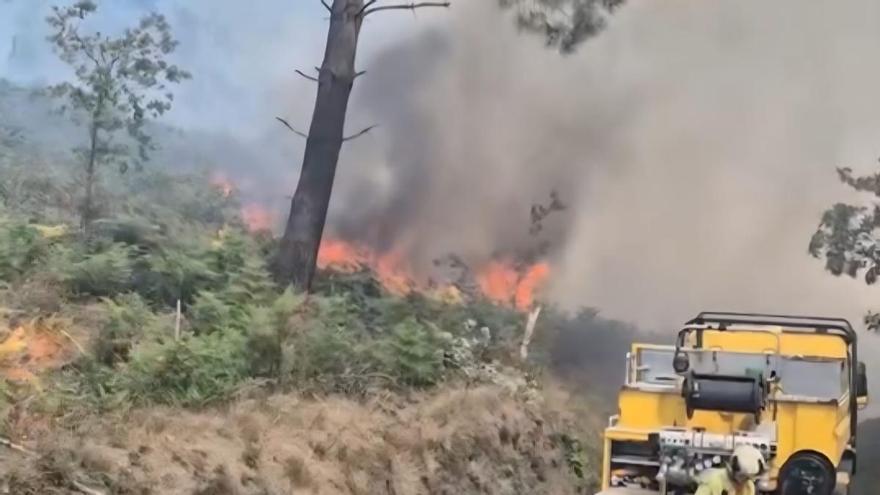 Susto en La Belga tras producirse un incendio en los terrenos de la nueva ciudad deportiva del Real Oviedo